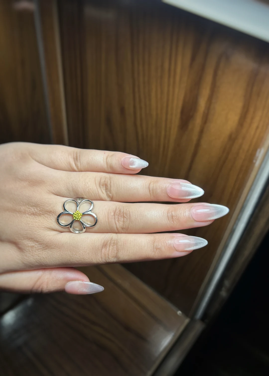 Silver Cat Eye Ombre, Glam tier custom-fit press-on nails