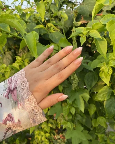 Nude Ombre press-on nails: long almond nails fading from nude to a milky tip, against green leaves